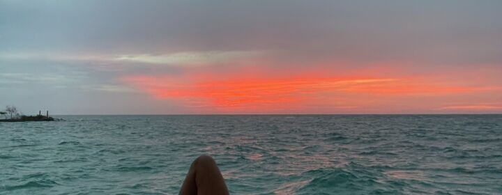 Aleja Torres - profile image